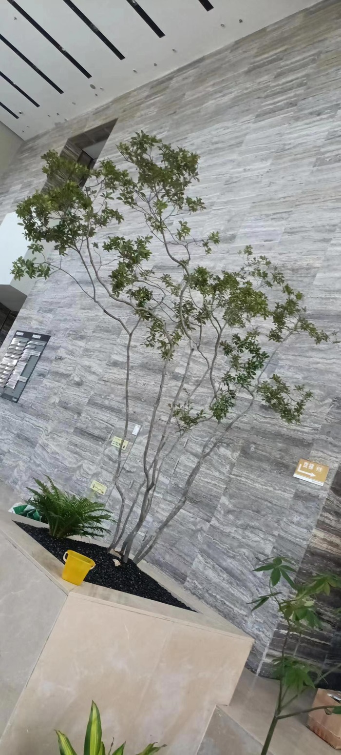 廠(chǎng)區(qū)植物種植